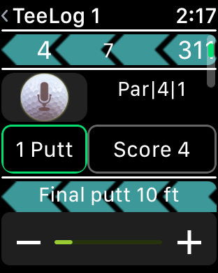 View of a Tee Log