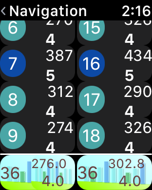The Bottom of the Navigation Screen